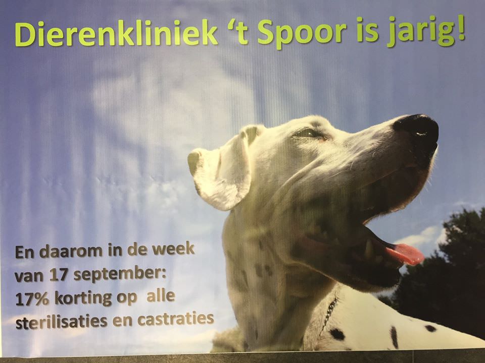 17 sept jarig.jpg