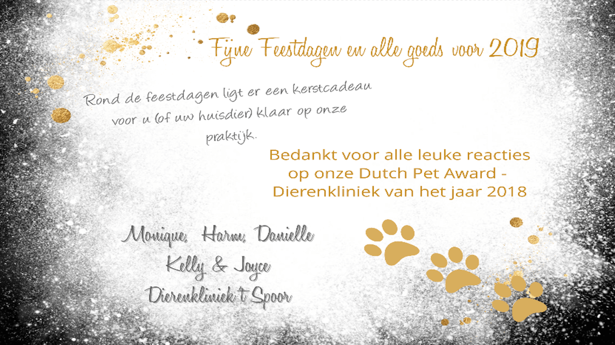 Kerstkaart 2018 achterkant.png