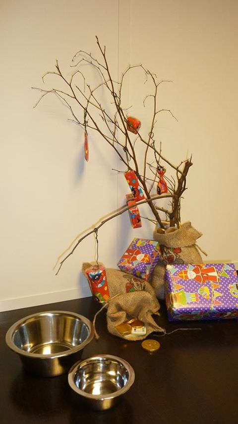 Sinterklaas.jpg
